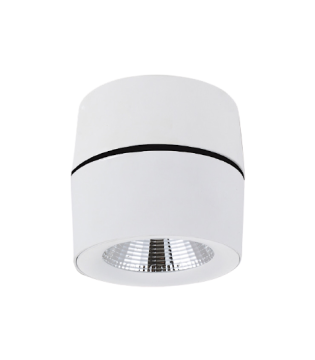 Foco superficie orientable 360º R Led 10W Blanco YLD LC1298