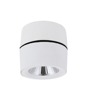 Foco superficie orientable 360º R Led 10W Blanco YLD LC1298