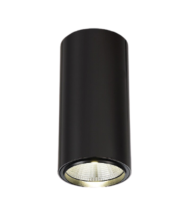 Foco de superficie CIL FIJO GRAFITO LED 10W Ø90mm