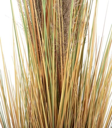 Detalle de tallos