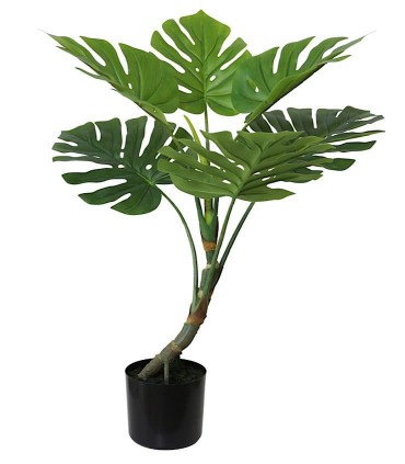 Planta Split philo con maceta 85cm