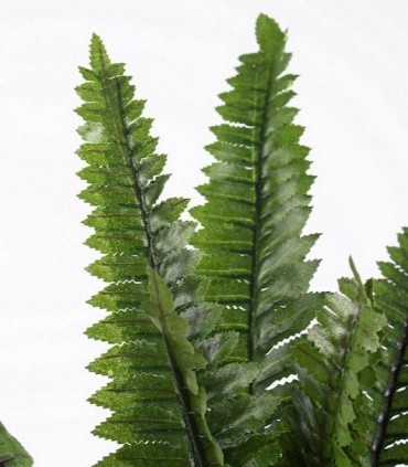 Detalle de las hojas de la planta artificial de helecho