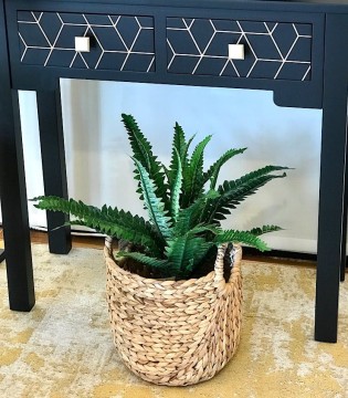 Imagen de ambiente con Planta Helecho C-MAC de 24 hojas, alto: 45cm