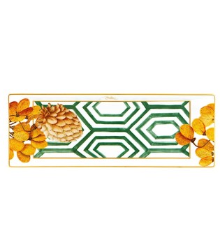 Bandeja torta Amazonia Vista Alegre