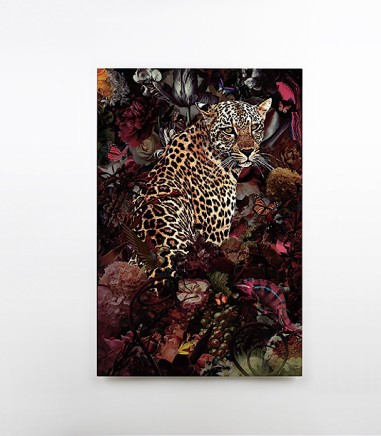 Leopardo foto 80x120 - Schuller