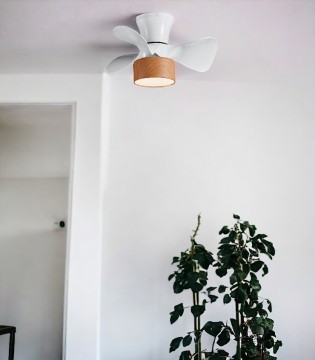 Ventilador de techo Fly madera DC 55cm 10437 - Jueric  - ¡Comprar ahora! 2
