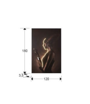 Cuadro Silueta con luz led 120x180cm  - Schuller