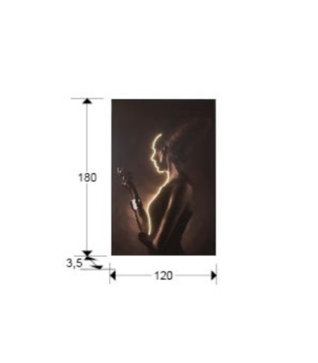Cuadro Silueta con luz led 120x180cm  - Schuller