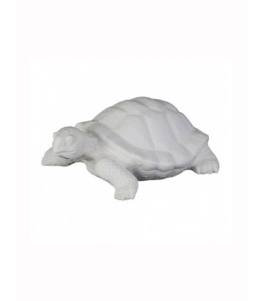 Set 2 TORTUGAS arenadas 18x14,25 cm