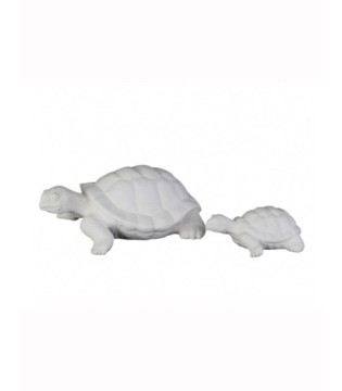 Set 2 TORTUGAS arenadas...