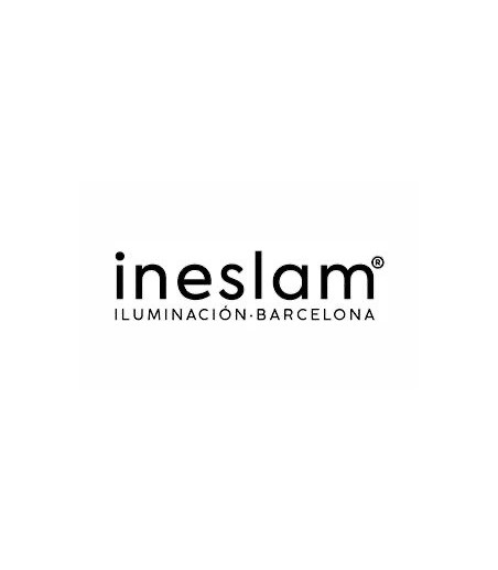 INESLAM
